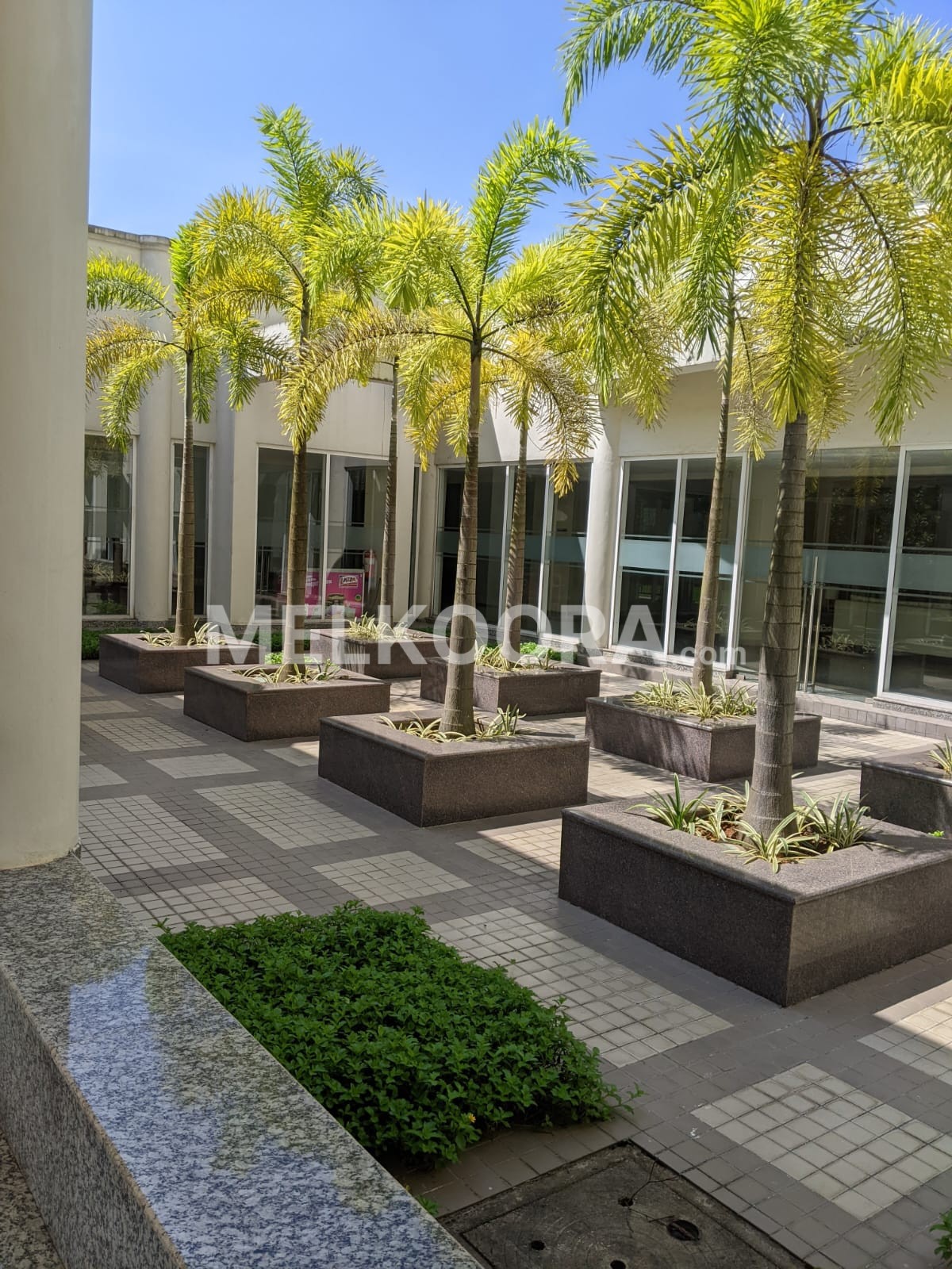 Elegant 3 BHK Furnished Flat for Rent in the Prestigious DLF Community, Kakkanad