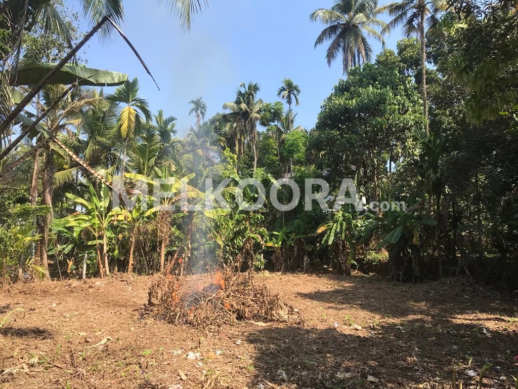10 CENT RESIDENTIAL PLOT FOR SALE  IN PERUMBAVOOR