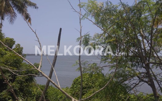 3.5 ACRES LAND FOR SALE IN MOOVATTUPUZHA