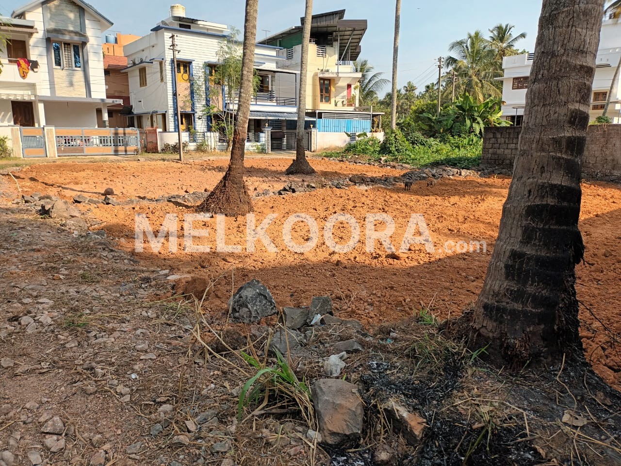 9 CENT RESIDENTIAL PLOT FOR SALE IN KUMBALAM