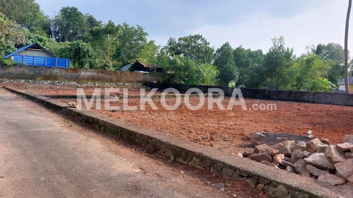 6 CENT RESIDENTIAL LAND FOR SALE AT PERINGALA