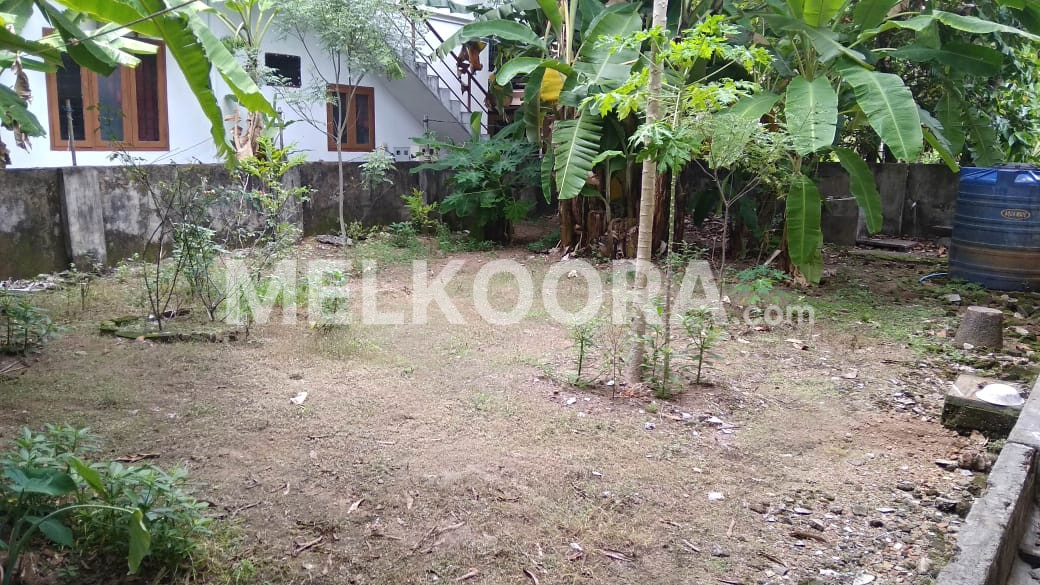 Residential Land for Sale 6.25 Cents in Kaloor