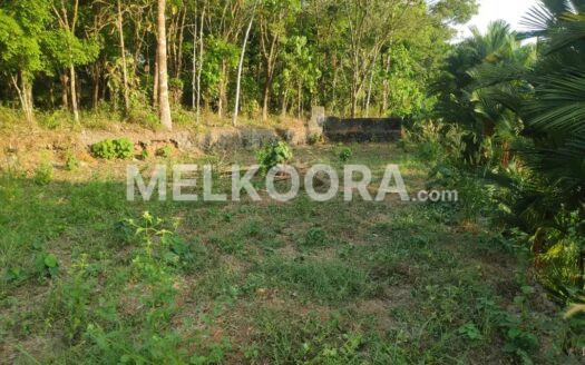 Residential Land for sale