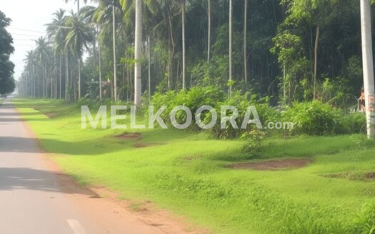 Residential land for Sale in North Paravur