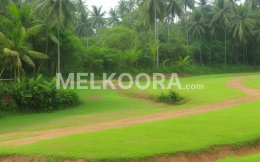 Residential Land for Sale