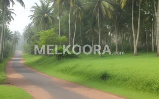 Residential Land for Sale in Scenic Vypin