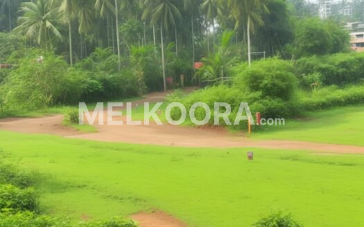 Residential Land for Sale