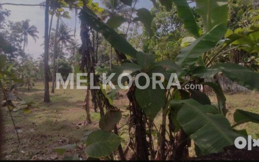 130 Cent Commercial Land For Sale at Angamaly For Rs 11Lakhs Per Cent