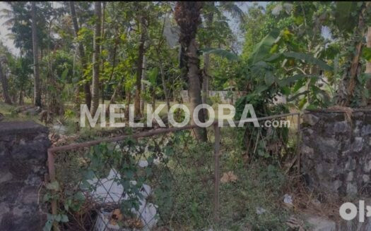 130 Cent Commercial Land For Sale at Angamaly For Rs 11Lakhs Per Cent