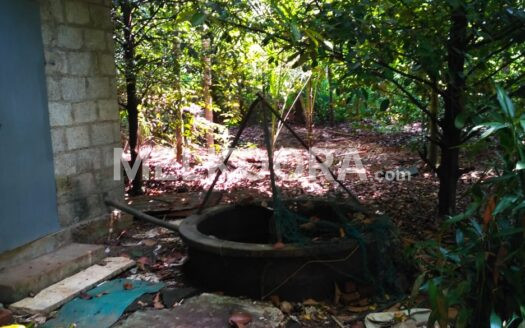 45 Cent Residential Land For Sale at Athani For Rs 2.5Lakhs Per Cent