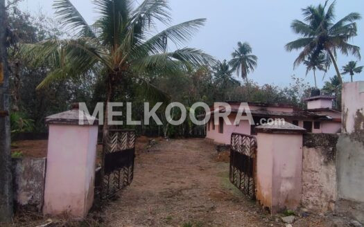 21 Cent Residential Land For Sale at Kothamangalam For Rs 2.5Lakhs Per Cent