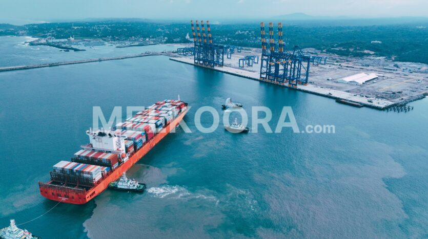 Vizhinjam International Seaport: Transforming Kerala's Real Estate Landscape