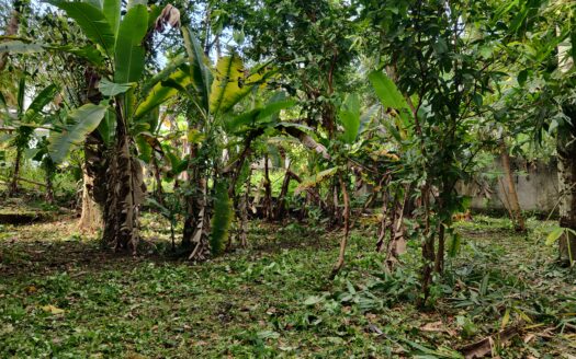 10 cents Land for sale in cheranellore, Ernakulam