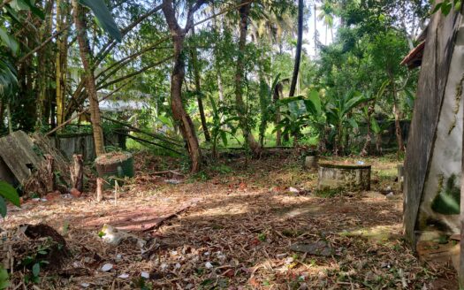 10 cents Land for sale in cheranellore, Ernakulam